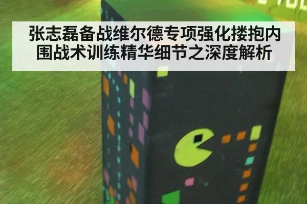 张志磊备战维尔德专项强化搂抱内围战术训练精华细节之深度解析